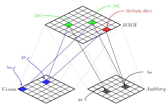 Multi-modal integration as predictions. The case of the McGurk Effect